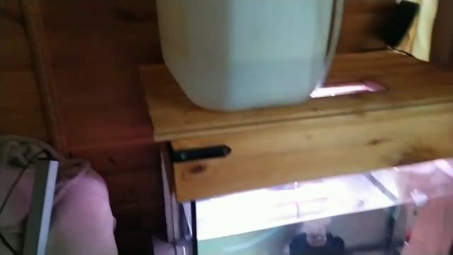 Разведение скалярии. Запустил аквариумную стойку. смотреть онлайн