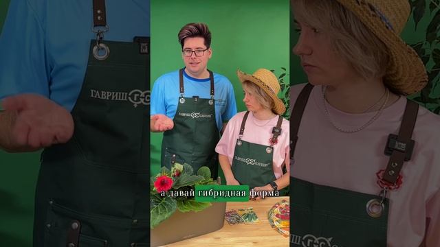 Гибридные семена смотреть онлайн