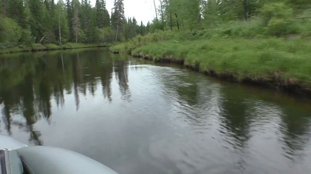 ЛОВЛЯ ХАРИУСА НА ТАЕЖНОЙ РЕКЕ смотреть онлайн