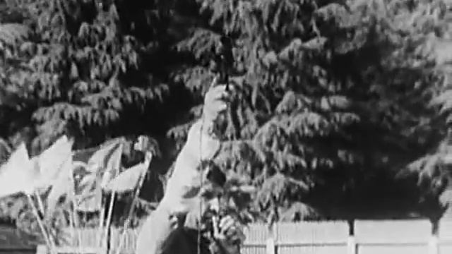 Бег на 100м и 200м - основы техники смотреть онлайн