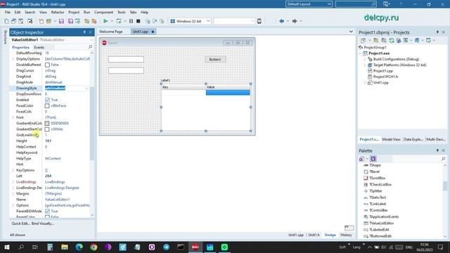 ValueListEditor C++ Builder.