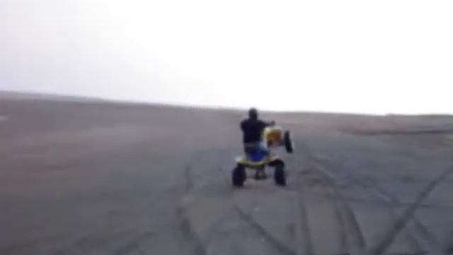 Suzuki ltr 450 wheelie Martin Head 2007 смотреть онлайн