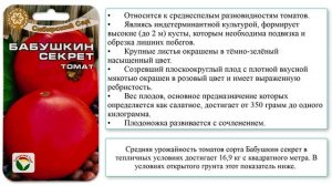 Томат сорта Бабушкин секрет