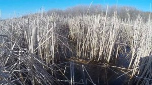 Рыбалка на озере Андреевское