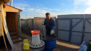 МОЖНО ЛИ ДЕРЖАТЬ В ИЖС СВИНЕЙ | КЕМ ПРИНИМАЕТСЯ РЕШЕНИЕ | Что с ценами на зерна? | Работа на участк