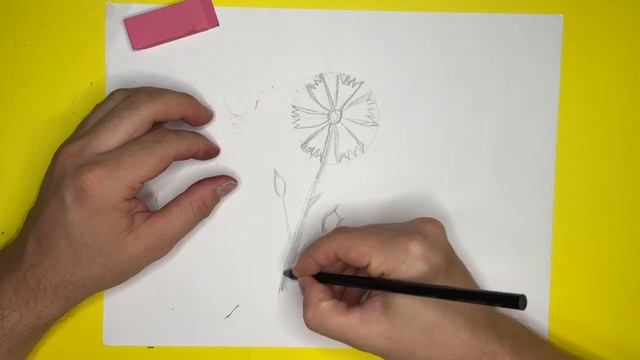 Как нарисовать Василек / Рисуем цветы смотреть онлайн