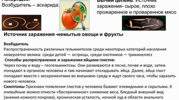 Биология. Урок №12 Болезни желудочно кишечного тракта