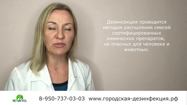 Как уничтожить мух смотреть онлайн