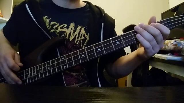 Alice In Chains - Stone Bass Cover смотреть онлайн