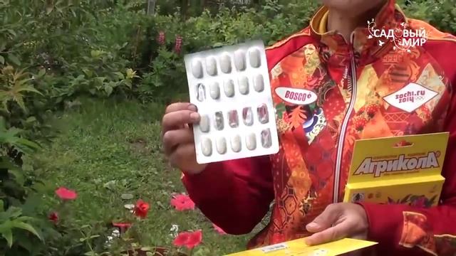 Удобрения длительного действия для цветов. Агрикола. Сайт "Садовый мир" смотреть онлайн
