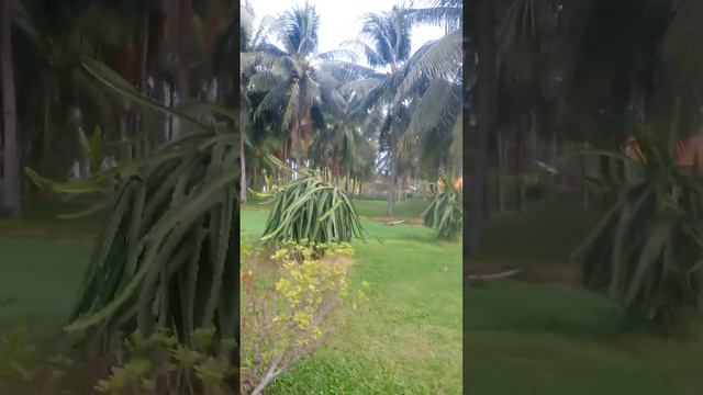 Муй Не. Полный релакс смотреть онлайн