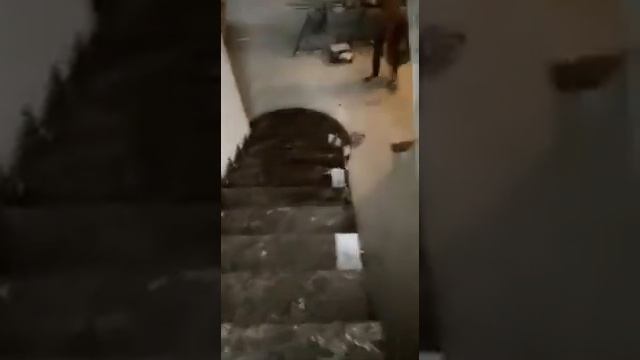 Лестница(ступени) из мрамора +79255350777