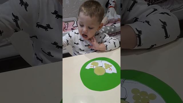 🍏🍏🍏 "Сенсорика" смотреть онлайн