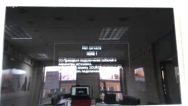 Офтальмология кошек смотреть онлайн