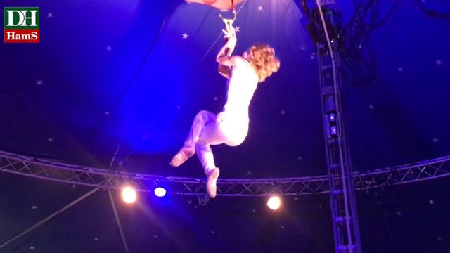 Piglet Circus geht auf Tour смотреть онлайн