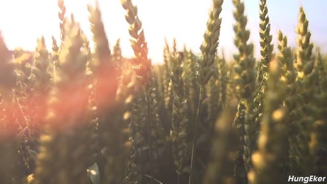 [ Nghe Thử 3 Giây Thôi ] Và Ngủ Sâu Ngay Lập Tức Với Nhạc Sóng Não Delta Tuyệt Vời