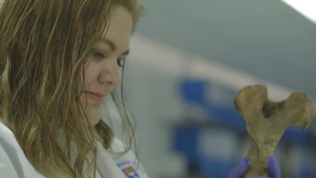 Study our MSc Forensic Art & Facial Identification смотреть онлайн