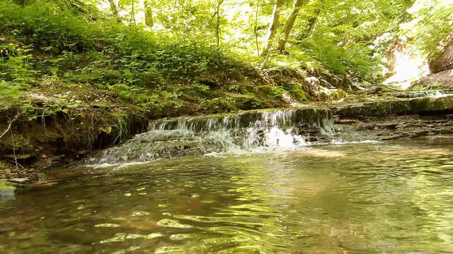 Природа — Майский ручей — Пение птиц смотреть онлайн