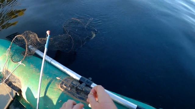 Рыбалка .Ловля леща на кольцо на Волге смотреть онлайн