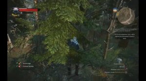 The Witcher 3. Улучшения школы волка III