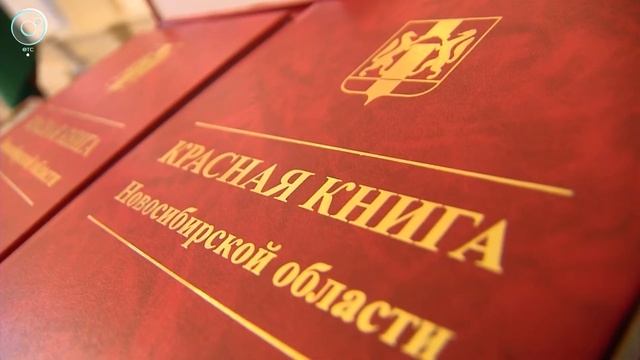 5000 экземпляров Красной книги Новосибирской области распределили в библиотеки, школы и вузы смотреть онлайн