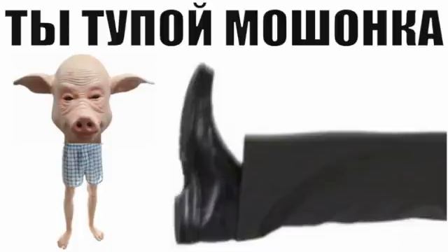 ✅ Тупоголовый разводила опять был послан / мошенники звонят по телефону смотреть онлайн