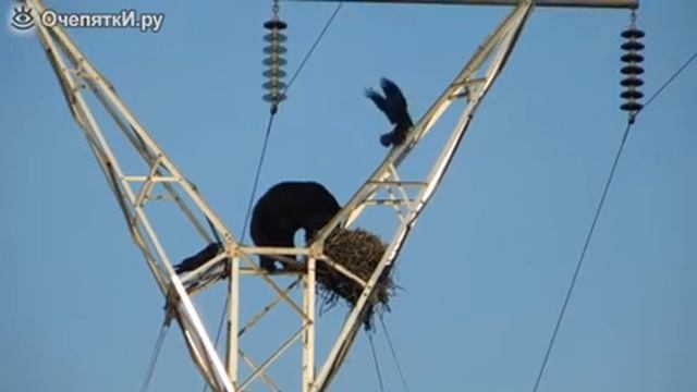 Миша электрик смотреть онлайн