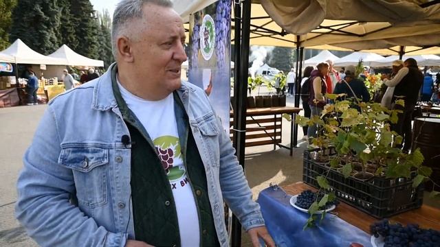 Фестиваль урожая в Липецке. смотреть онлайн