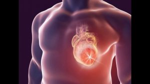 Окружающий мир 2 класс ч.2, тема урока «Строение тела человека», с.4-7, Школа России.