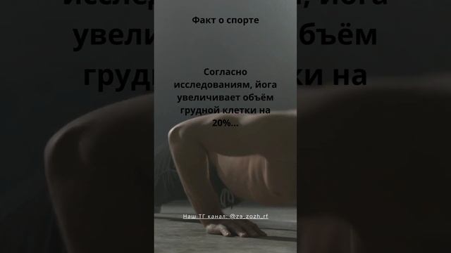 8 Факт о спорте #shorts #sport смотреть онлайн
