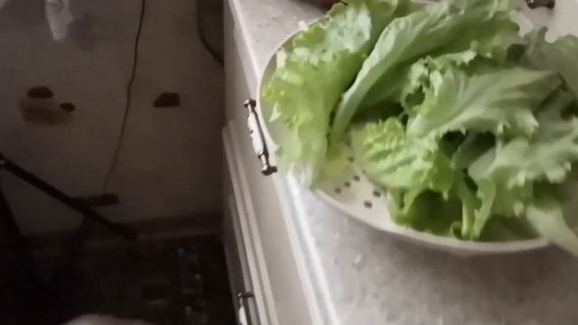 VLOG:#ПОЗДРАВЛЯЮ #МУЖА С ПРАЗДНИКОМ!!! ГОТОВЛЮ #ПРАЗДНИЧНЫЙ #ОБЕД))