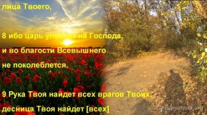 Псалом 20. Псалом Давида. Благодарственная молитва за спасение. Псалтирь.