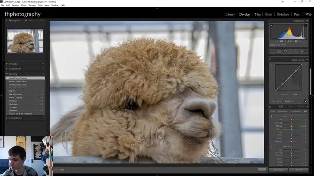 stream recap #1- alpaca show rant and bird appriciation. смотреть онлайн