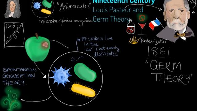 Louis Pasteur and Germ Theory смотреть онлайн