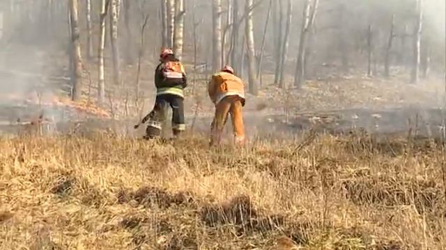 13 04 2016 В Молодечно проходит республиканская акция МЧС смотреть онлайн