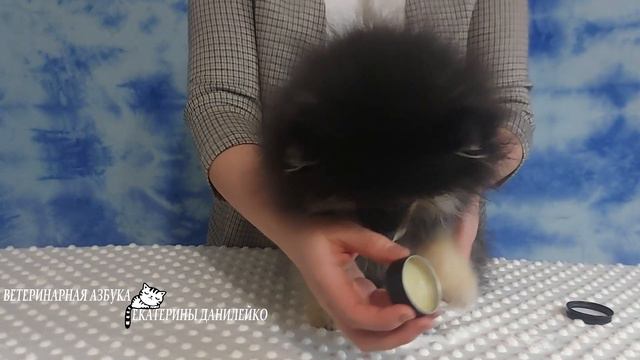 обработка лап зимой