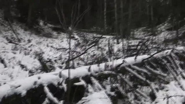Охота рябчика 21г. смотреть онлайн