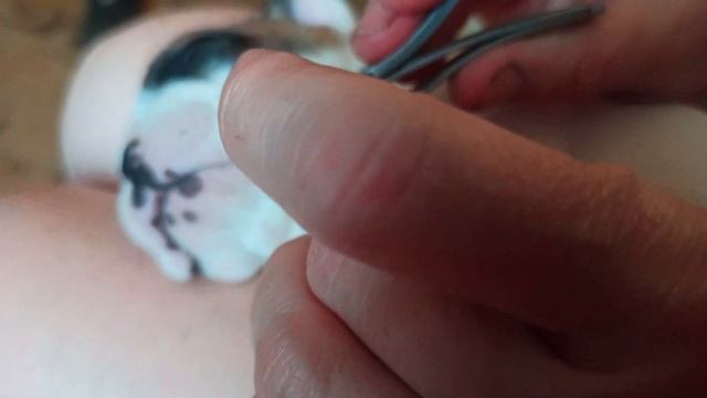 Можно и когти подстрич. смотреть онлайн