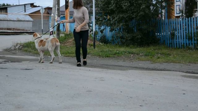 ОЕССЕНН СТИЛЬ Закира 5 мес смотреть онлайн