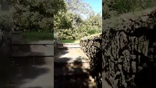 Анонс. Азоры. Рум тур. Кому на Азорах жить хорошо смотреть онлайн