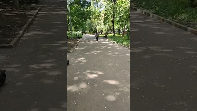 Челлендж от moment ist #2 смотреть онлайн