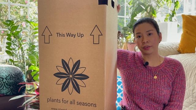 Plant Haul!?Variegated Monstera : Albo or Thai Constellation? Syngonium Neon Robusta, Silver Satin смотреть онлайн