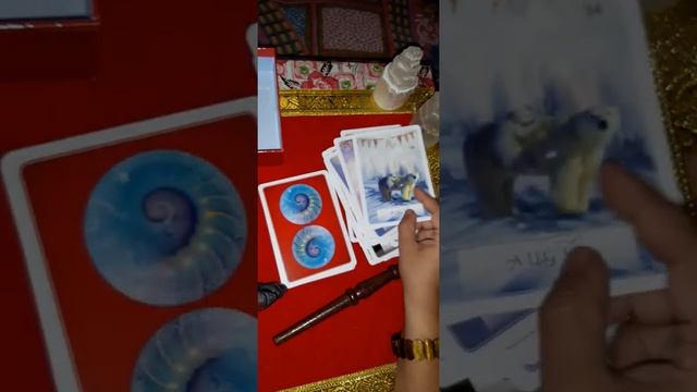 Review of wisdom Oracle cards смотреть онлайн