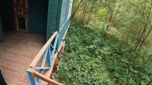 2частьМАКС ВАЩЕНКО (ПОПАЛ В ЛОВУШКУ МАНЬЯКОВ ЛЮДОЕДОВ. НАШЕЛ ПРОПАВШУЮ ДЕВОЧКУ В ЛАГЕРЕ) 18,08,2024