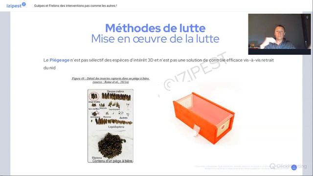 Webinaire : Guêpes et Frelons, des interventions pas comme les autres ! смотреть онлайн