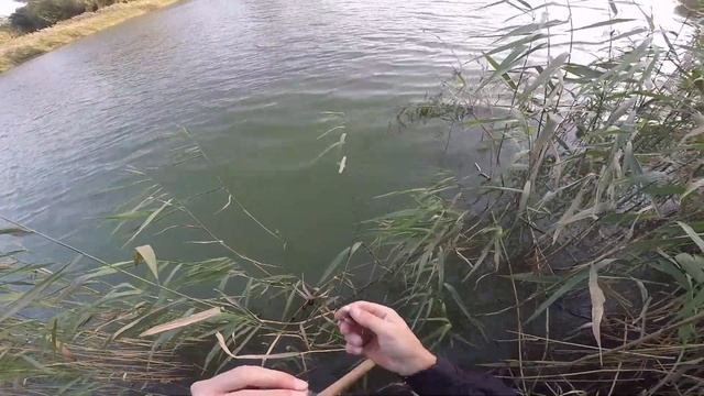 Ловля спиннингом на реке 