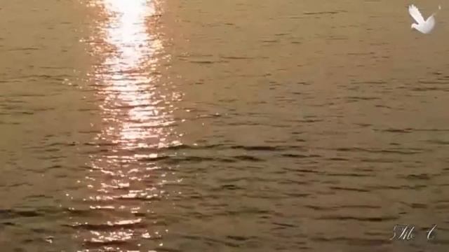 "Разбиваются волны о берег морского причала"...-читает автор Галочка смотреть онлайн