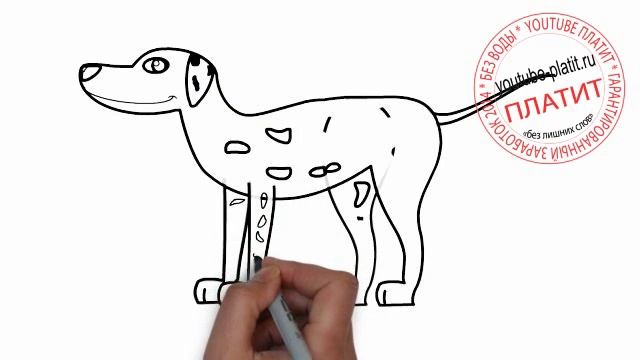 Как нарисовать собаку поэтапно карандашом смотреть онлайн