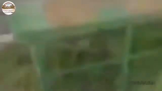 Полезные самоделки из стальной канистры смотреть онлайн