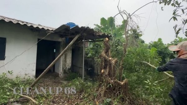 NOBODY We cleaning the ABANDONED house cut the grass cut the overgrown plants TRANSFORM the garden